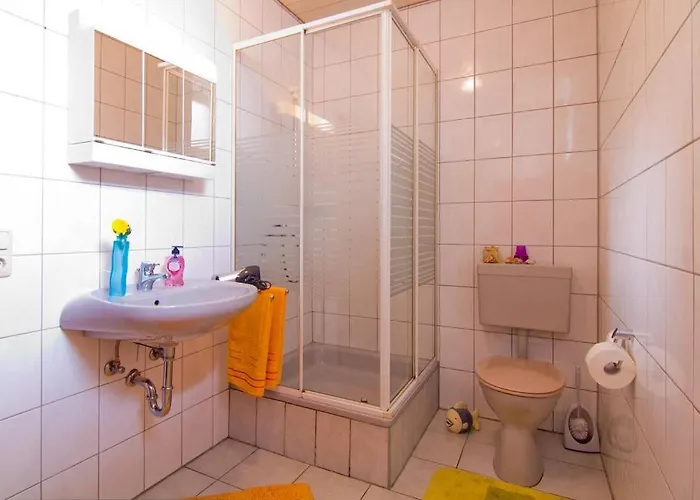 公寓 菲林尼休公寓 *