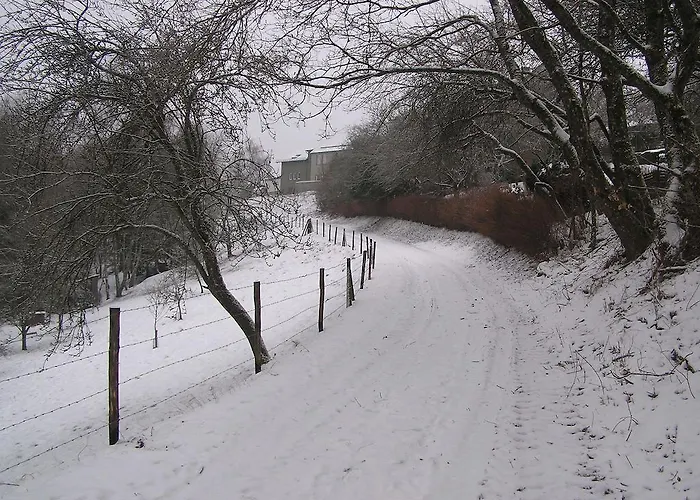 公寓 菲林尼休公寓